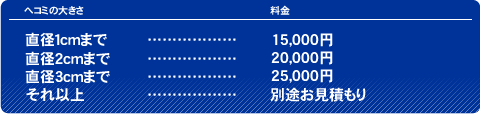 修復料金 直径1cmまで15,000円 直径2cmまで20,000円 直径3cmまで25,000円 それ以上は別途お見積もり